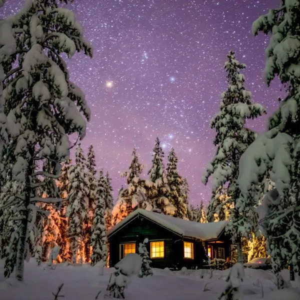 Tunturilapin Tuvat, hotel in Muonio