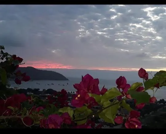Maremonti Vacation Rental, hotel in Puerto López