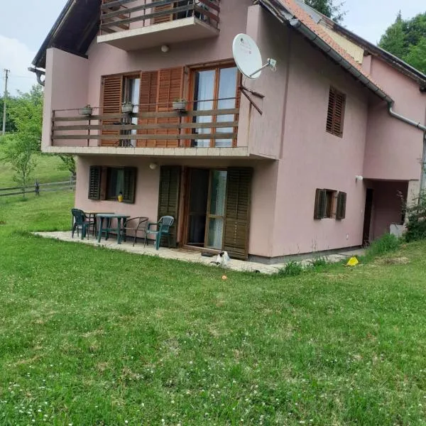 Studio apartman jelena, hotel v destinaci Zaovine