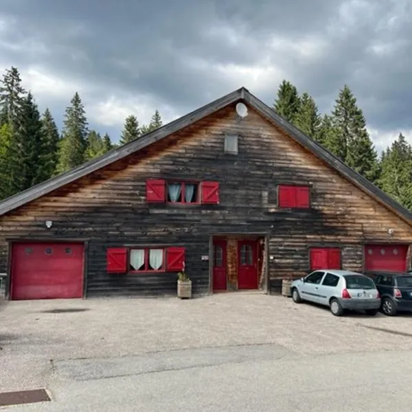 Chalet 8-10 personnes sur la station des Rousses, hotel in Longchaumois