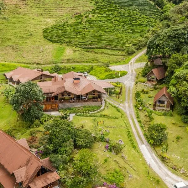 TREE TREK BOQUETE Adventure Park, hotel di Boquete