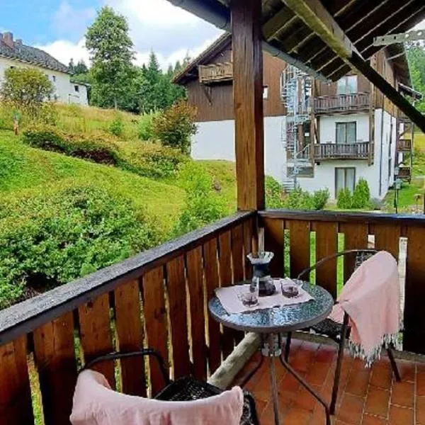 2 Zimmer Mitterdorf, hotel v destinaci Philippsreut