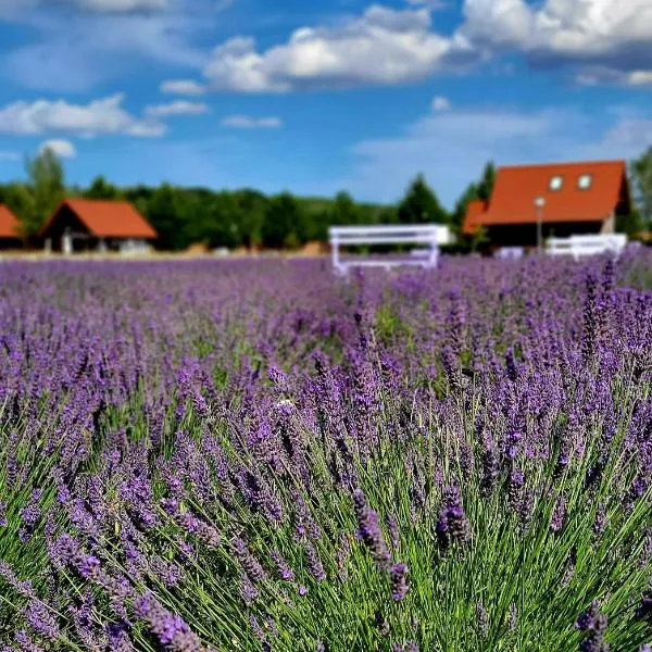 Lawendowy Zakątek Machowino- Domek Blue Scent, hotel em Ustka