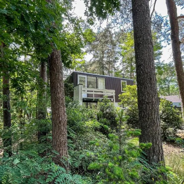 Pet Friendly Home In Meijel With Sauna, hotel in Meijel