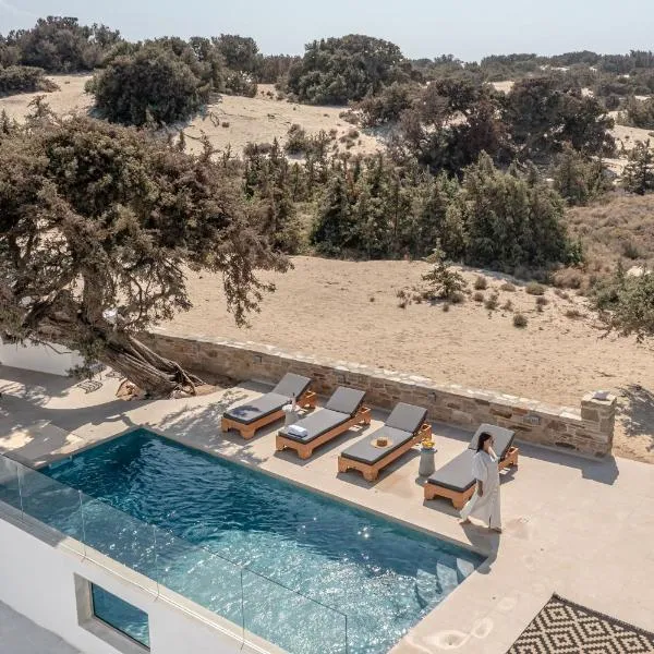Ammolofos Luxury Apartment & suites, hotel in Naxos Chora