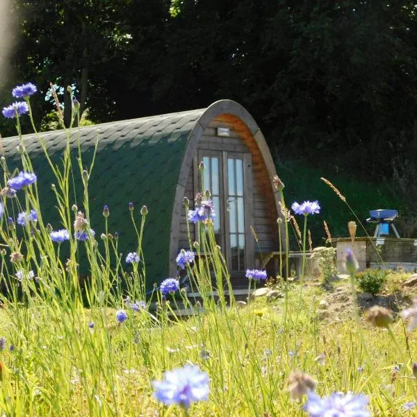 Cosy Pod-Cabin near beautiful landscape in Omagh, hotel in Newtownstewart