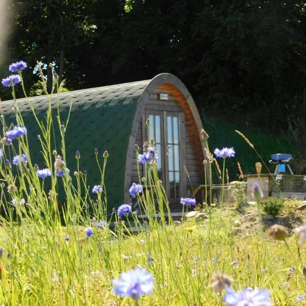 Cosy Pod-Cabin near beautiful landscape in Omagh, hotell i Rousky