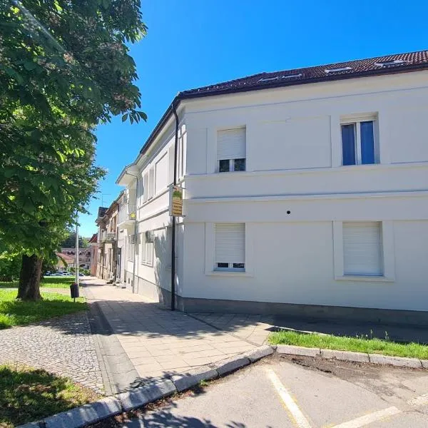 Rooms with a parking space Daruvar, Bjelovarska - 18842, hotel v destinaci Daruvar