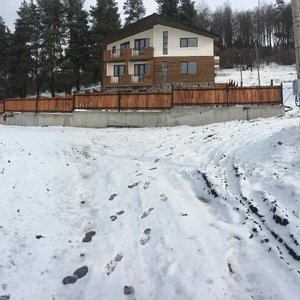 House Near Forest, hotel a Bakuriani