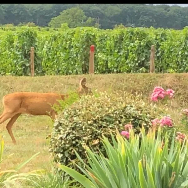 Feux에 위치한 호텔 Avre de Paix au pied des Vignes