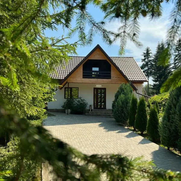 Pensiunea Ionela, hotel in Zemeş