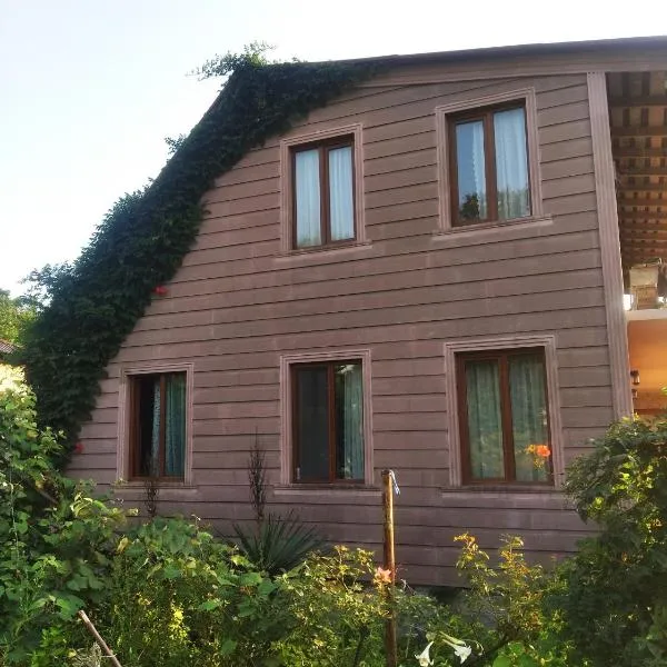 Roin Guest House, hotel v destinaci Grigoleti