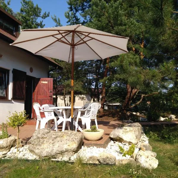 Domek letniskowy ,,Letni Sen", hotel v destinaci Olsztyn
