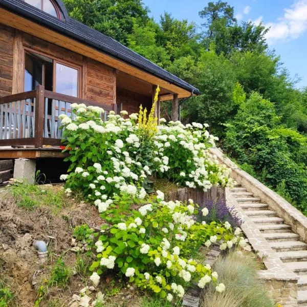 Domek nad chrząszczem, hotel v destinaci Szczebrzeszyn