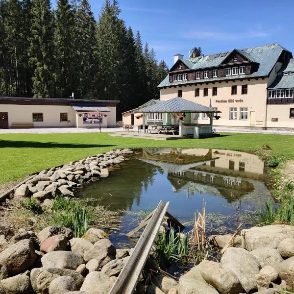 Penzion Bílá voda, hotel em Harrachov