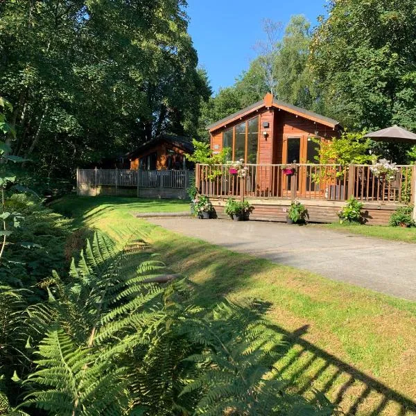 Tiggywinkle Beck Lodge, hotel v destinaci Windermere