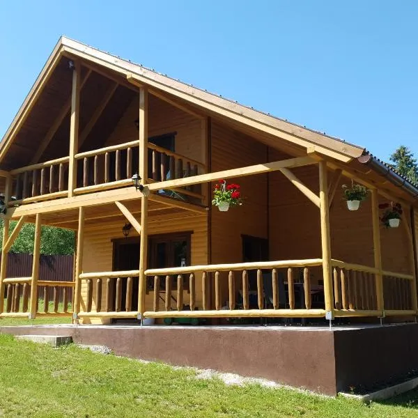 Cabana DEMI, hotel in Voşlobeni