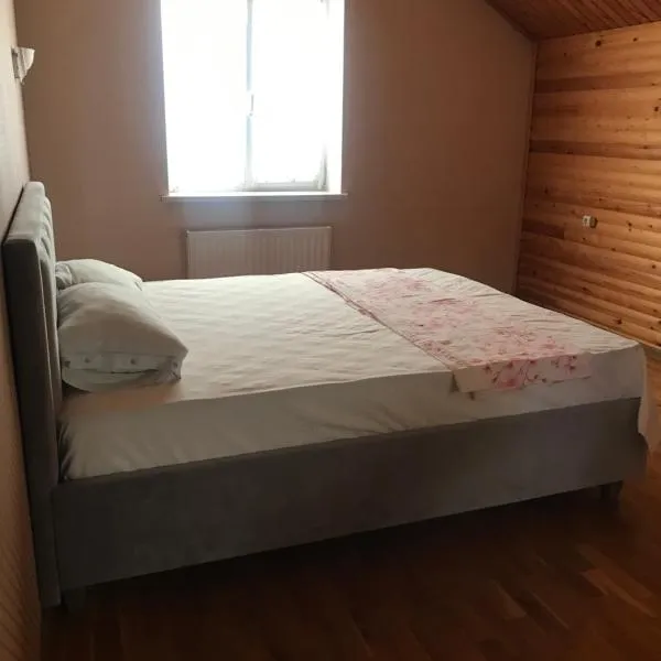 Casa Centru Chișinău, hotel i Chișinău