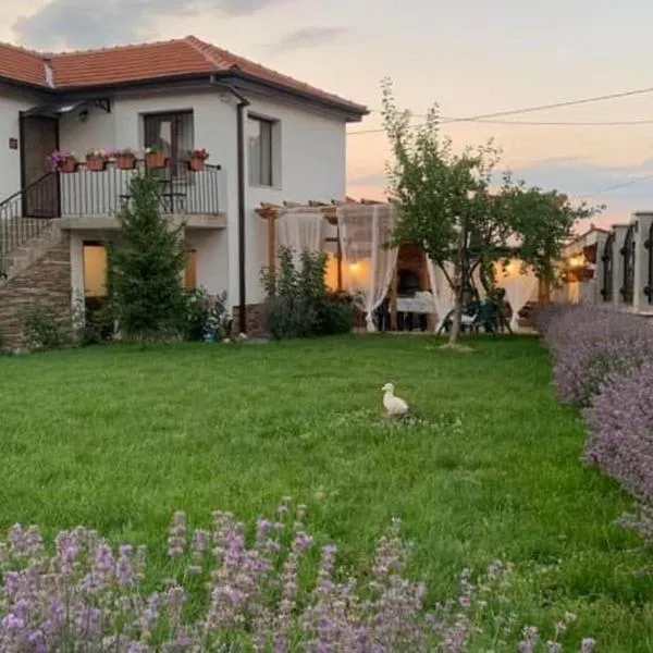 Villa Anika, hotel v destinaci Mezek