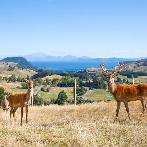 Hilltop Whakaipo Estate, hotelli kohteessa Taupo