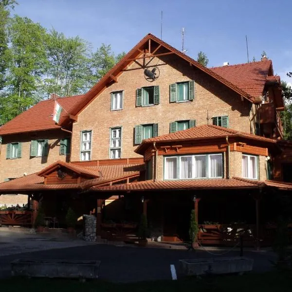 Sebesvi­z Panzió, khách sạn ở Répáshuta