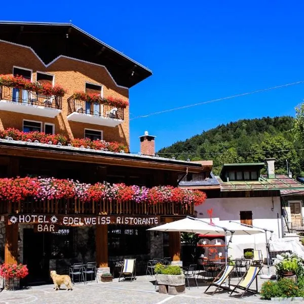 Viesnīca Hotel Edelweiss pilsētā Limone Pjemonte