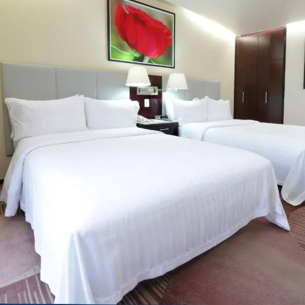 Holiday Inn Hotel & Suites Mexico Medica Sur by IHG, hotel in Mexico City
