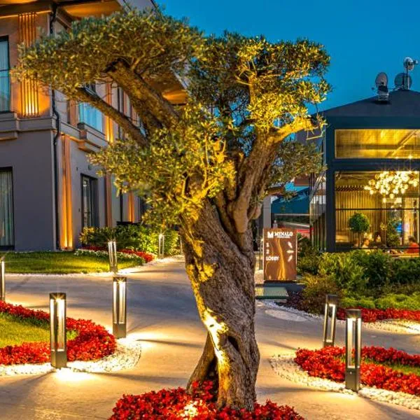 MENALO HOTEL PREMIUM ISTANBUL AIRPORT, hotel in Istanbul