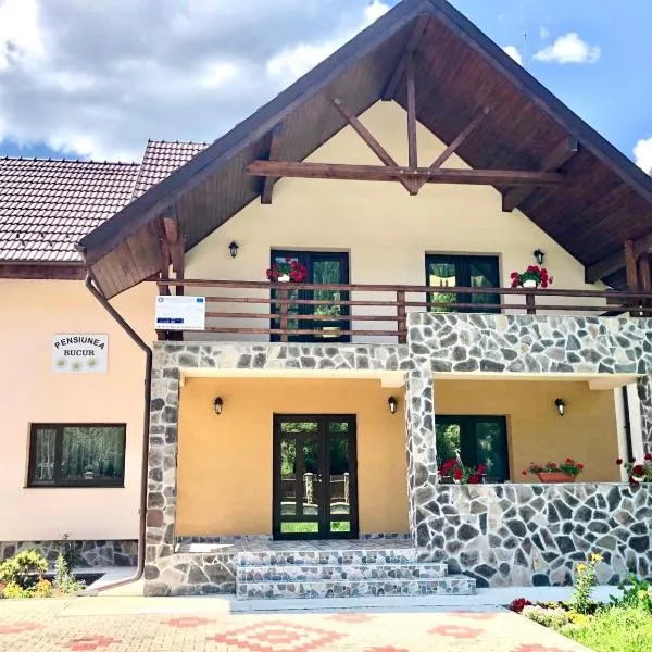 Pensiunea Bucur, hotel v destinaci Dămuc