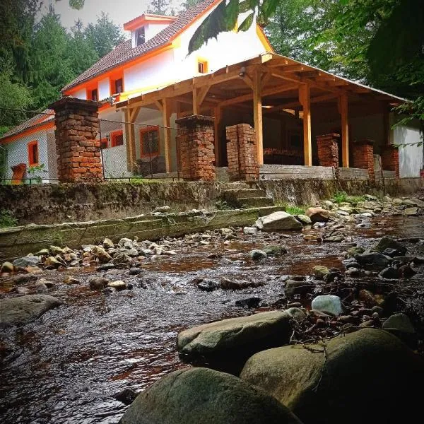 Cabana de lângă Vale, hotel en Saca