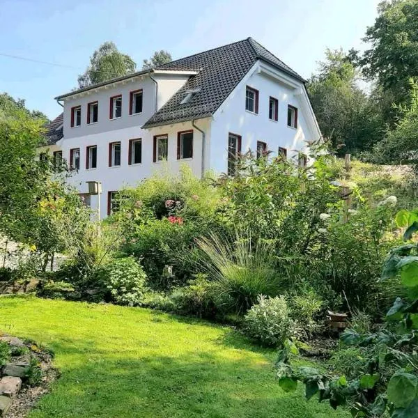Alte Mühle, ξενοδοχείο σε Holzminden