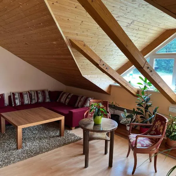Apartmán Relax, hotel v Bělé pod Pradědem