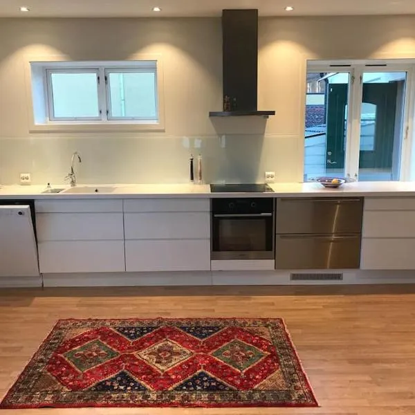 Stort hus i Porsgrunn sentrum med gangavstand til "alt" & gratis parkering til flere biler, hotel en Porsgrunn