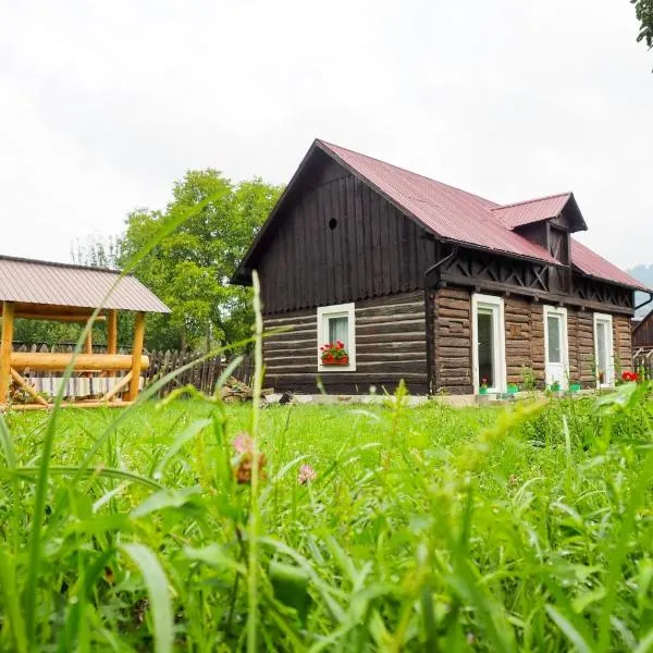 Wild-Traditional Bucovina, hotel v destinaci Câmpulung Moldovenesc