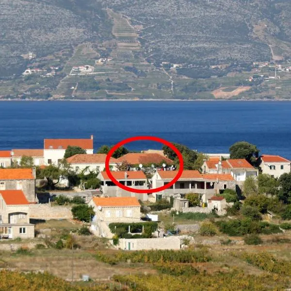 Apartments with parking space Lumbarda, Korcula - 9262, hotel in Lumbarda