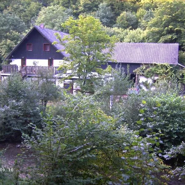 Neumühle Ferienwohnung 2, hotel em Lutzerath