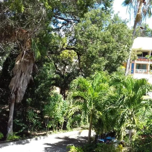 Studio Le Balisier, hotel u gradu Caritan