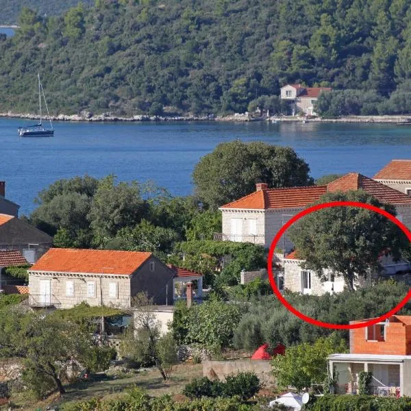 Apartments with parking space Lumbarda, Korcula - 9474, hotel in Lumbarda