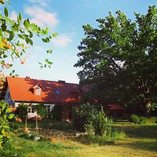 Agro - Dom Wsrod Lasow, hotel v destinaci Trzcianka