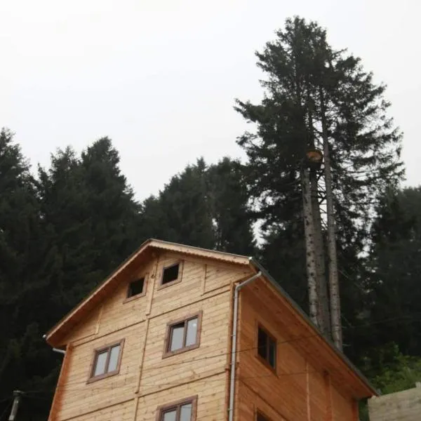 İnka Apart House, khách sạn ở Ayder Yaylasi