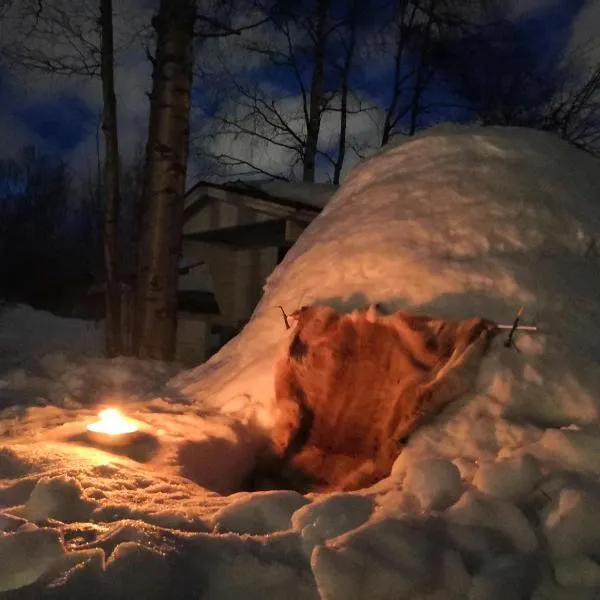 Authentic Wooden House by the River with an Igloo