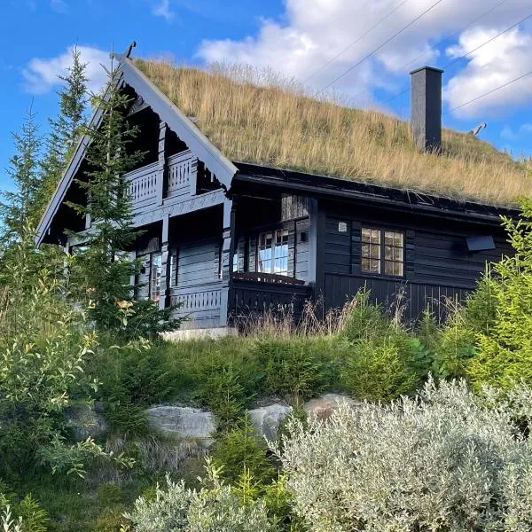 Ski and Bike-In and Out, hotel en Hafjell