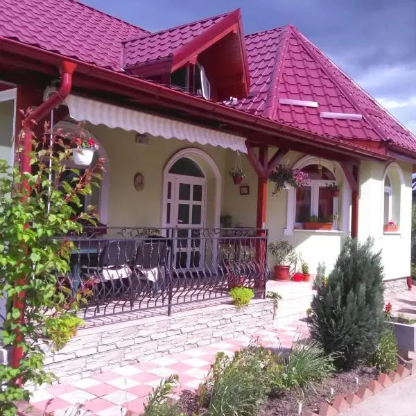 Casa Tenciu, отель в городе Sînpetru