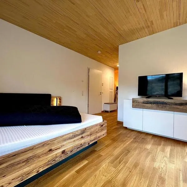 Studio Tiengen - zentraler Neubau - Barrierefrei im Erdgeschoss, hotel in Waldshut-Tiengen