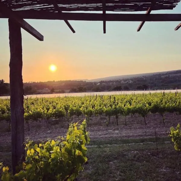 Le Vieux Portail，聖薩蒂南迪阿普特的飯店