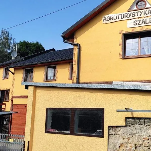 Agroturystyka Szalejów 117, hotel v destinaci Szalejów Górny