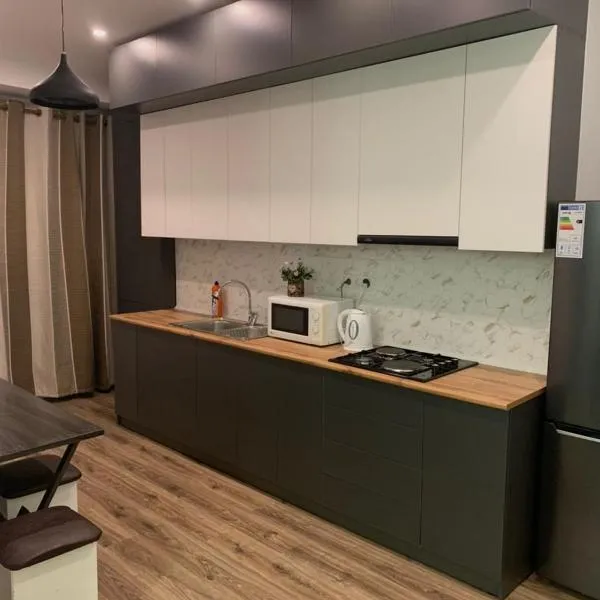 студия Вефа, hotel in Bishkek