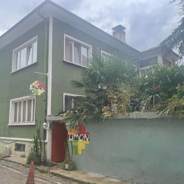 Limon Hotel, hotel v destinaci Edirne