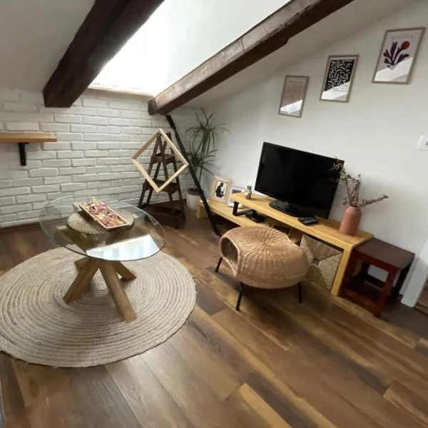 Condo in town centre, hotel in Rijeka