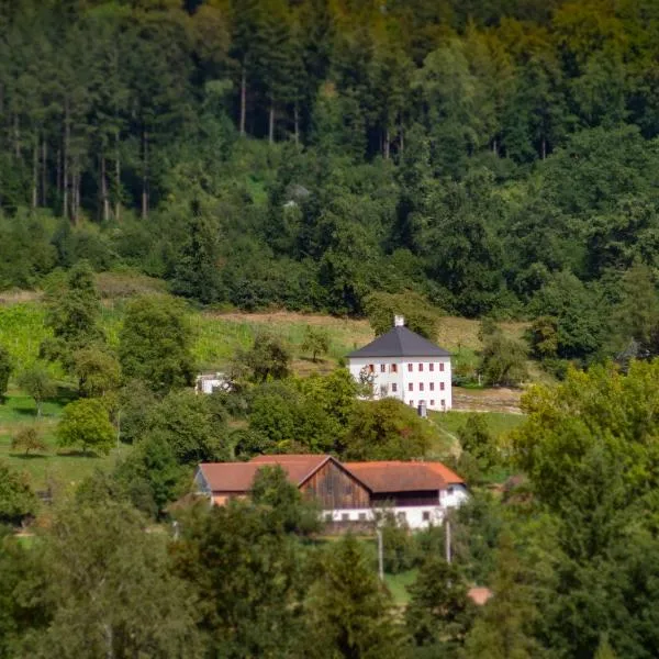 Trattnachtaler Weinhaus, hotel in Schlüßlberg